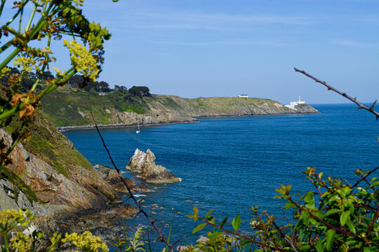 Scenic view of Baily Lighthouse and rugged cliffs of Howth Head over the blue sea, framed by coastal wildflowers, Dublin, Ireland