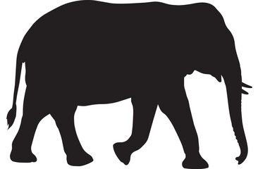 Fototapeta premium Black elephant silhouette walking