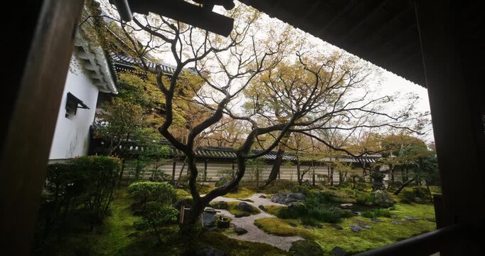 Majestic, ancient Japanese courtyard and garden in the spring - slow motion