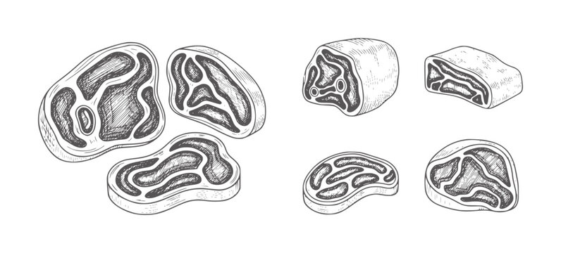 Assortment of Raw Meat Cuts in Style beef pork lamb