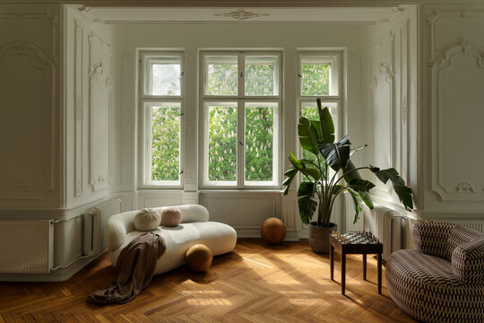 Sunlit living space with modern sofa, lush plant, and classic architectural details, warm light on hardwood floor