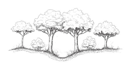Hand drawn of diverse trees and bushes a grassy hill © Ali