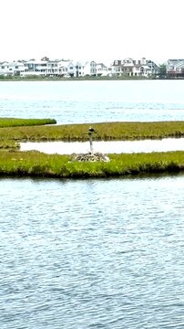 Water in Fenwick Island Delaware With Grass and Buildings Nearby