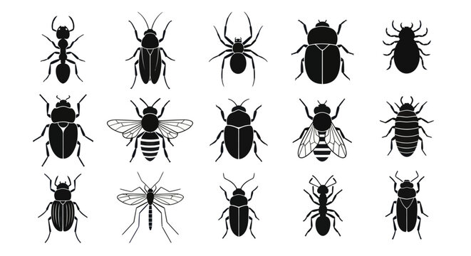 Insects are crawling and flying on a surface with various bugs and spiders.
