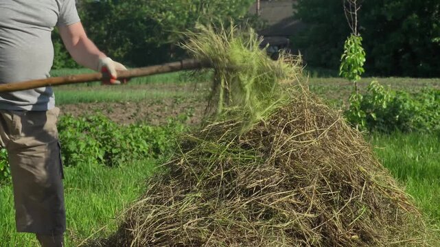 Farmer in gray shirt and gloves uses pitchfork to toss hay into the air, showcasing the process of managing a hay pile in a sunny outdoor setting