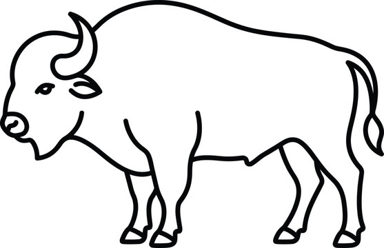 American bison line art illustration side view minimalist design