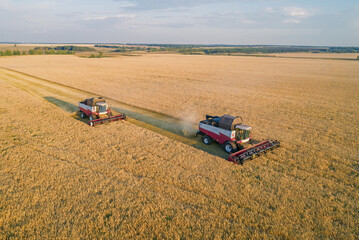 Obraz premium Aerial view captures combine harvesters diligently working a vast golden wheat field at sunset, kicking up dust