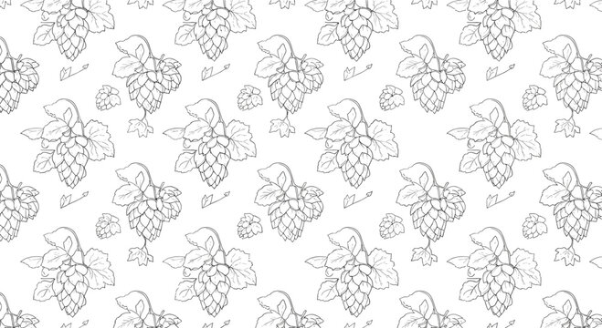 Intricate black and white line art pattern of hop cones and leaves for craft brewery, beer production, and botanical themed designs.