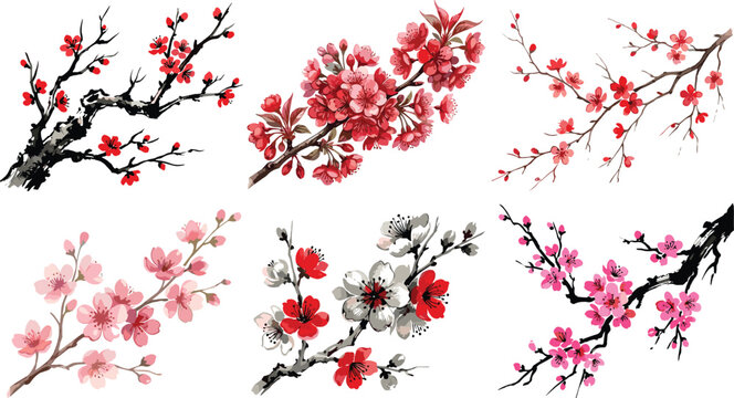 Japanese Cherry Blossom Branch Vector Set Featuring Watercolor Ink Style Sakura Plum And Peach Floral Elements Isolated On White Background