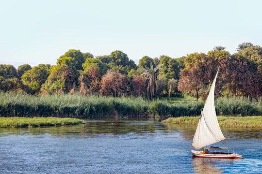 Beautiful Nile scenery with traditional Felluca sailing boat in the Nile - Aswan, Egypt