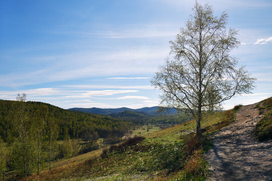 Landscape near Tuimsky Gap, Khakassia, Russia