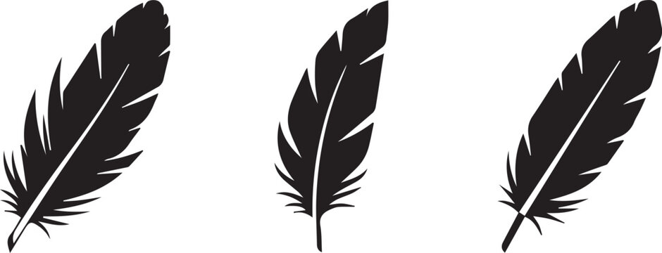 Black feather silhouettes