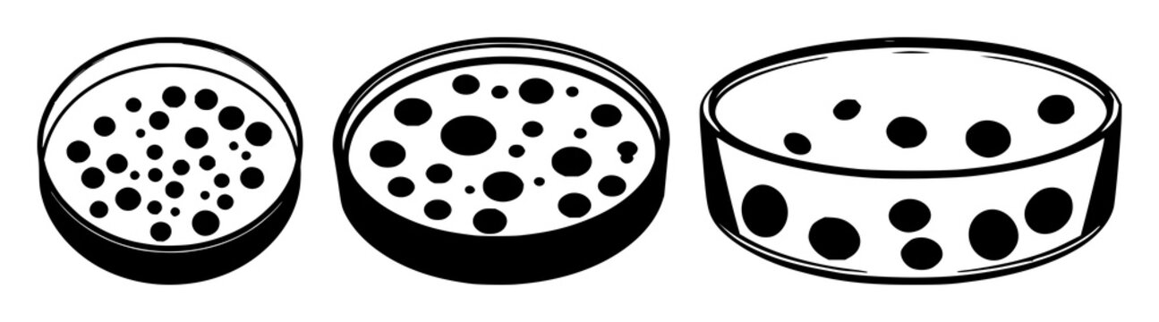 Petri dish set with solid black icon on white background featuring cell culture, laboratory, biology with microscopy and research