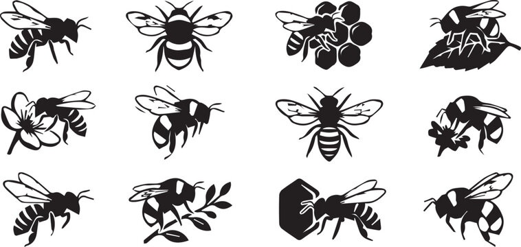 Set of Honey Bee Icons and Illustrations with Flowers and Honeycomb