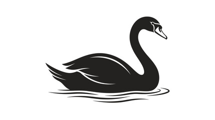 Black swan vector illustration of swan on a lake, nature wildlife art with silhouette couple swans, romantic love symbol drawing © Malkis