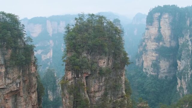 Mountain sandstone pillar with pine trees rising above misty forested valley in Yuanjiajie scenic area of Zhangjiajie National Forest Park landscape, Hunan, China. Travel and tourism landmark in Asia