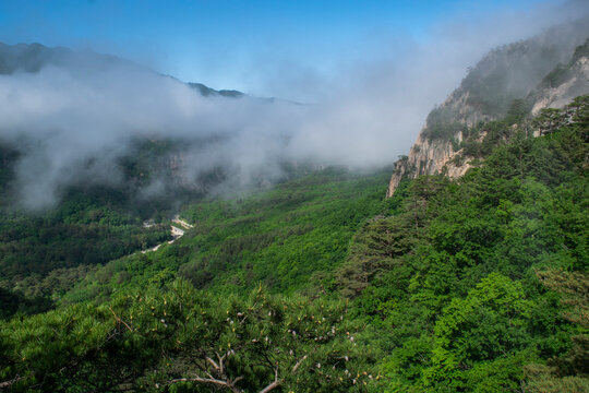 설악산 국립공원 장수대지구 풍경, Scenery of Jangsu-dae district of Seoraksan National Park