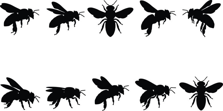 Collection of diverse bee silhouette illustrations, showcasing various poses and perspectives of these essential pollinators in a graphic design format
