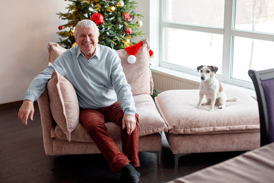 Senior 70 year old man sitting on chair with dog at Christmas. Happy grandfather relaxing at home with pet during winter holiday. Cozy leisure, retirement lifestyle and festive mood.
