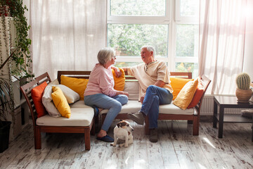Senior woman and man sitting on couch with dog at home. Elderly couple talking and relaxing in...