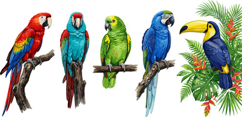 Tropical Bird Vector Illustration Set Featuring Colorful Macaws Parrots and Toucan Perched on Branches with Exotic Jungle Palm Leaves Elements © Mdsumon