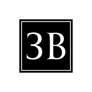 A black square with a white border containing the white serif characters '3B' on a white background, representing a simple logo or initial.