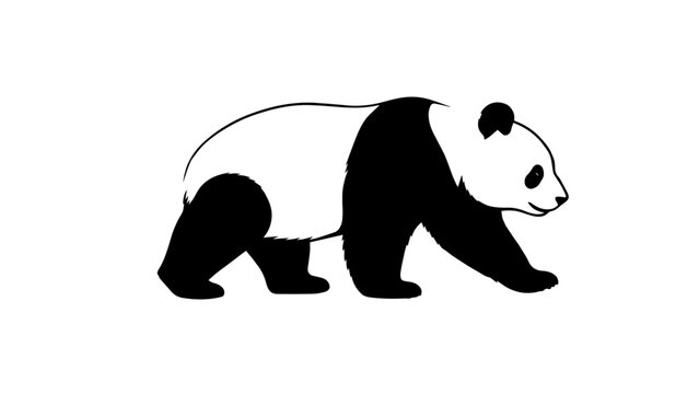 all vector