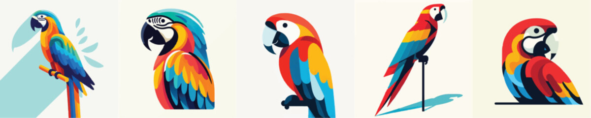 Fototapeta premium Macaw Vector Illustration