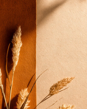 Dried Grass Stems on Warm Earth Tone Textured Wall Background