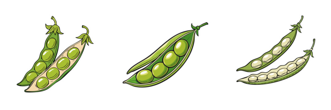 Set of hand drawn illustrations showcasing fresh green peas in pods variations