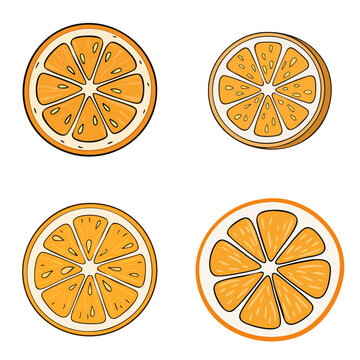 Collection of vibrant citrus fruit slices featuring oranges with juicy segments and white pith