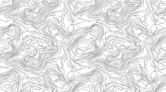 
Abstract Abstract Topographic Map Seamless Pattern with Black Outline Contour Lines on White Background

