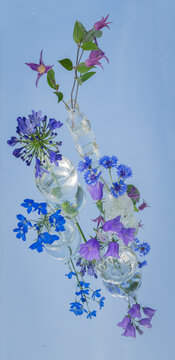 abstract stilllife with blue and purple flowers in glass vases on mirror reflection of the sky
