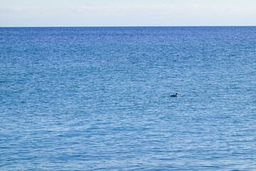 Fototapeta premium Wide Lake View Under Clear Sky