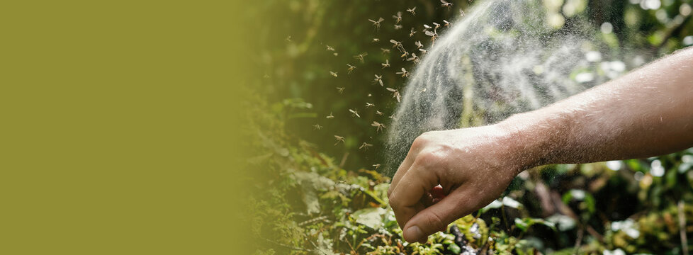 Man spraying insect repellent on hand to protect against mosquito swarm in nature. Applying chemical spray to prevent bug bite in forest or garden. Banner with copy space