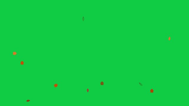 Swirling Autumn Leaves Falling Animation Green Screen