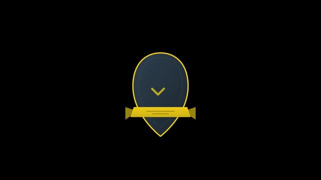 trust verification badge guarantee shield check animation