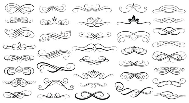 Floral ornament collection black vector flourishes on a white background