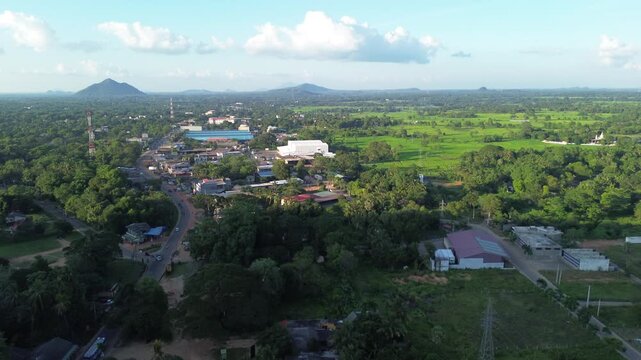 Bird's-eye view of a magnificent tropical garden plantation, scenic nature background in Sri Lanka.