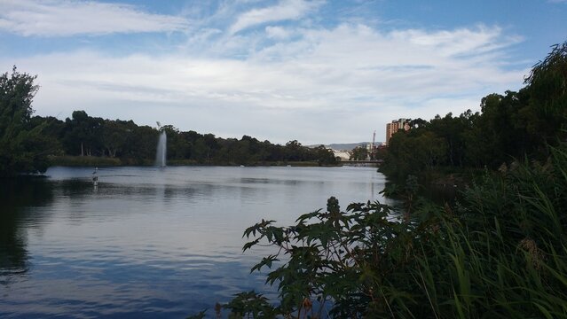 torrens river
