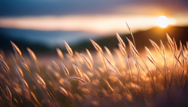 soft blurred evening lights create a dreamy atmosphere with delicate grasses swaying gently enhancing the beauty of nature s subtle details in twilight hues