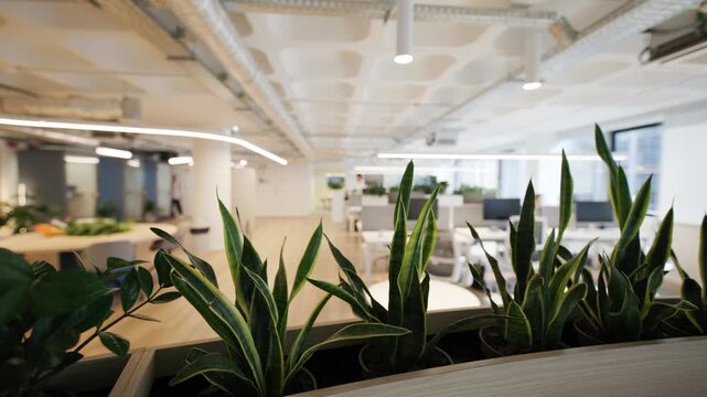 Modern office interior with green plants in foreground, showcasing spacious workstations and bright natural light filtering through large windows in a contemporary workspace