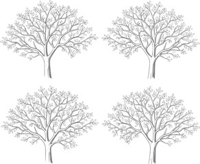Obraz premium Four stylized trees with delicate branches and leaves, sketched in gray