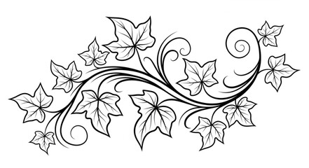 Decorative ivy vine illustration with swirling tendrils. © arjuna davin
