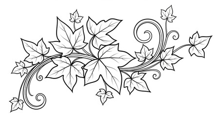 Fototapeta premium Decorative Vintage Ivy Vine Swirls and Leaves Illustration.