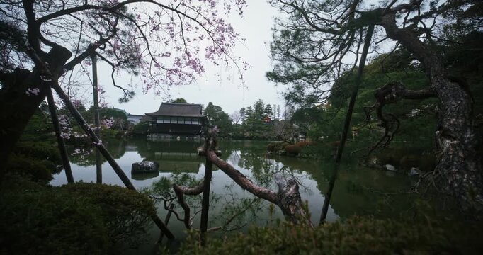 View of still pond and old Japanese structure from behind spring trees - wide shot