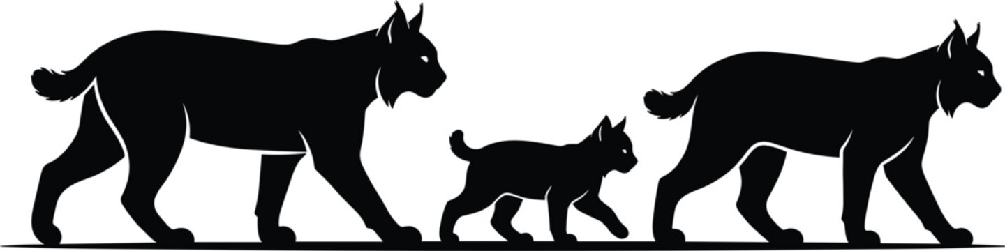 Lynx and Bobcat Wild Cat Family Silhouette Vector for Wildlife Conservation Logos, Nature Graphics, and Adventure Branding