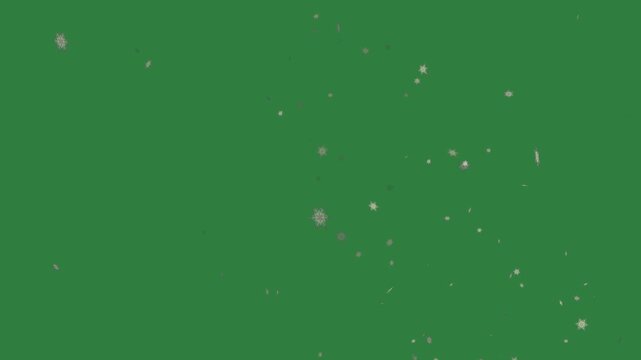 A green screen with white background and an image of snow flakes on it bunch flowers fireworks stars clock animated chromakey background elements emotion motion creative movement colorful