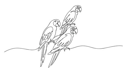 Continuous Simple black line art drawing set of Parrot bird in a minimalist style on a white background. © shoshi