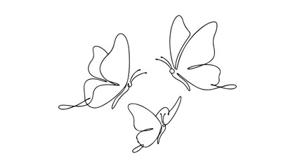 Continuous Simple black line art drawing set of butterfly bird in a minimalist style on a white background. © shoshi